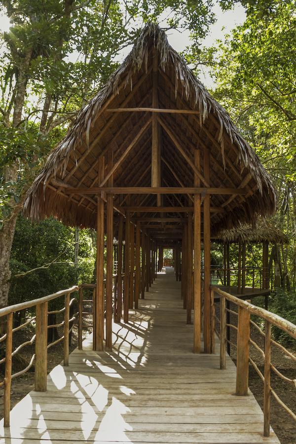 Treehouse Lodge Yucuruche Zewnętrze zdjęcie