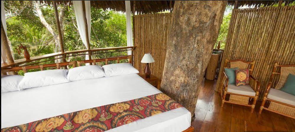 Treehouse Lodge Yucuruche Zewnętrze zdjęcie