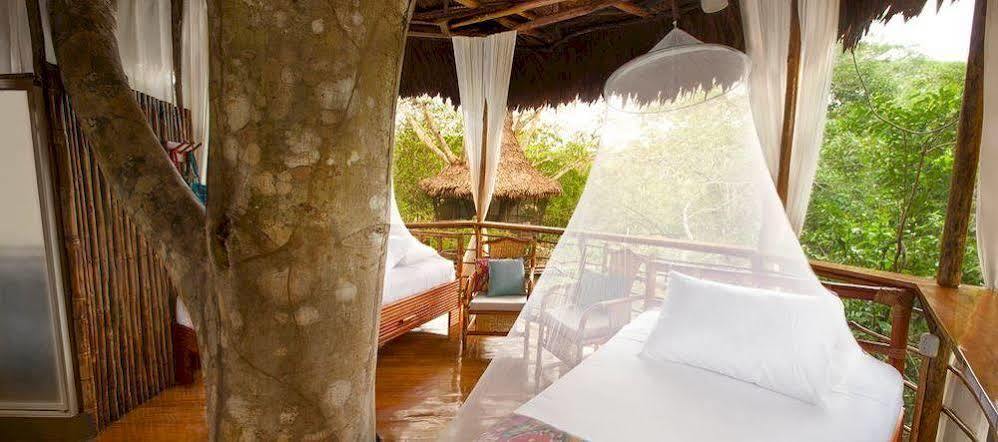 Treehouse Lodge Yucuruche Zewnętrze zdjęcie